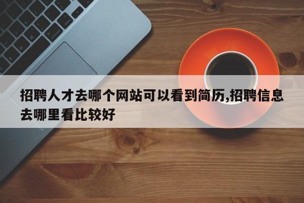 招聘人才去哪个网站可以看到简历,招聘信息去哪里看比较好